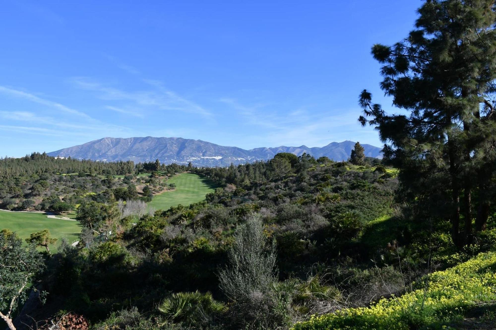 Apartamento Sea View Celeste Costa Del Sol Playa Chapparal La Cala De Mijas Exterior foto